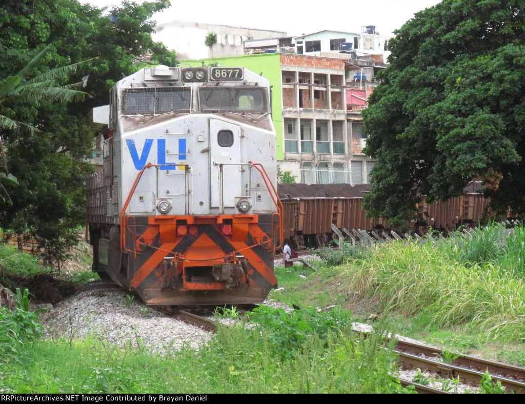 VLI 8677